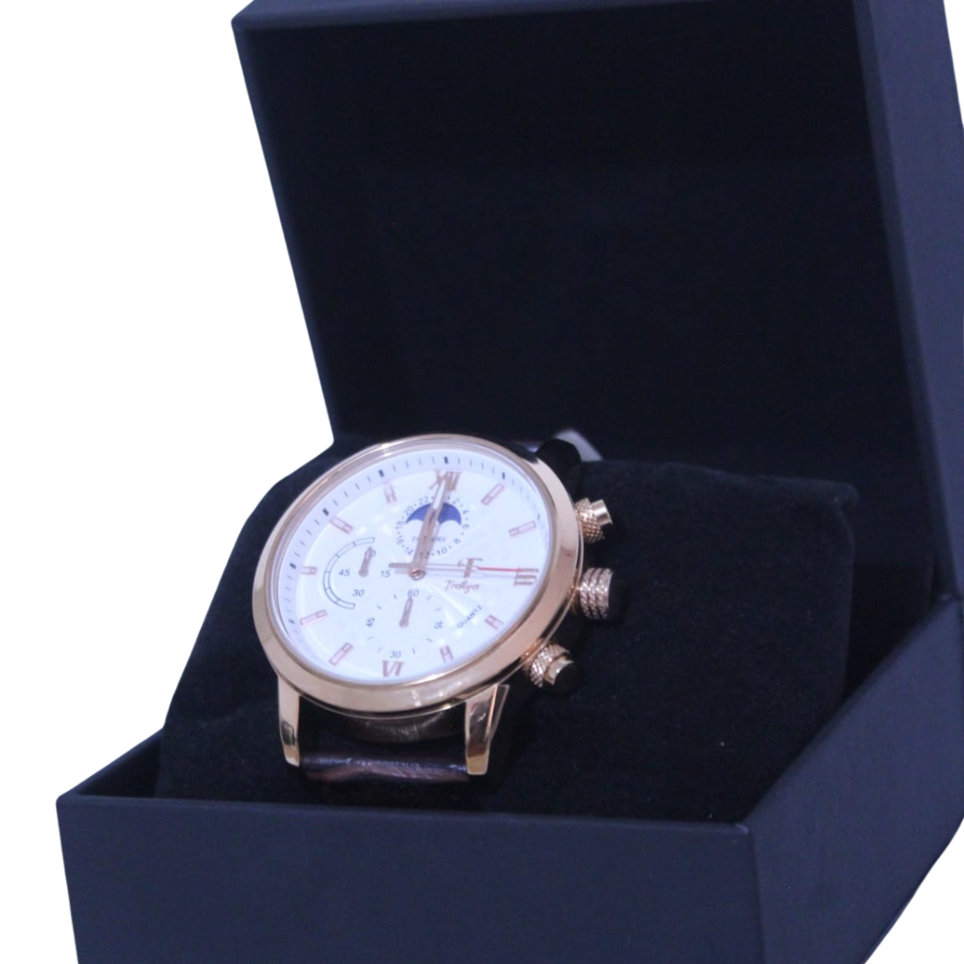 12 hours Moon Phase quartz watch in brown leather strap